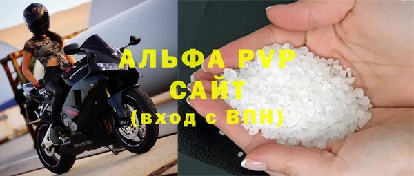 СК Белокуриха