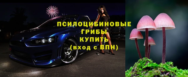 таблы Богородск