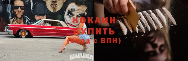 СК Белокуриха