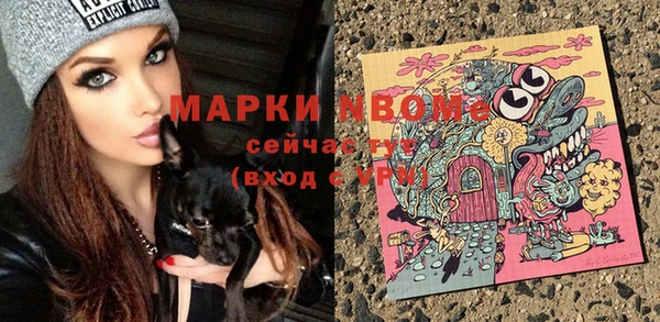 прущие грибы Белоозёрский