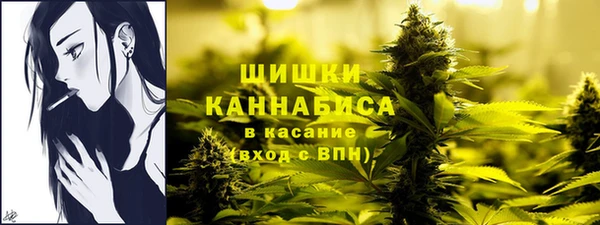 каннабис Богданович