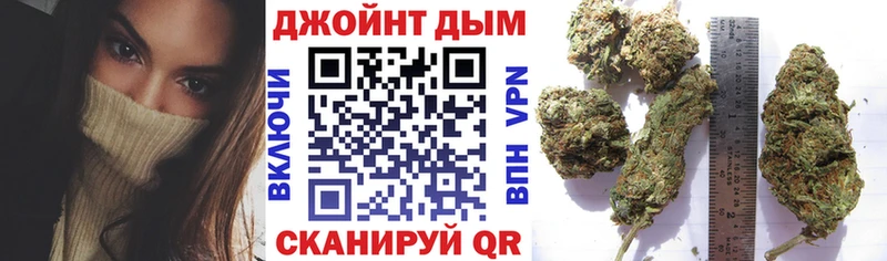 Конопля гибрид  что такое   Болхов 